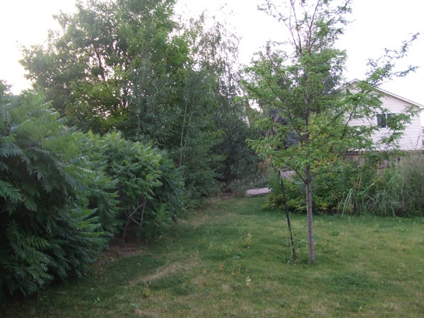 DSCF0321