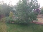 DSCF0228
